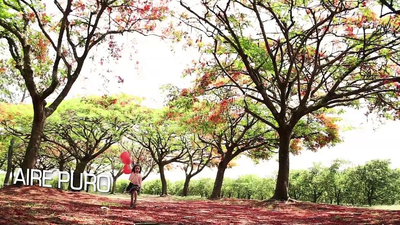 Moho y humedad - Salud con Esperanza - Iglesia Adventista