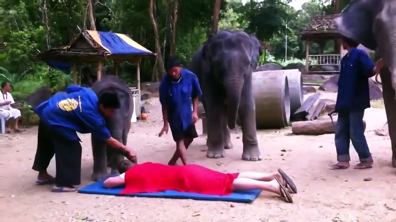 Слоны делают массаж с сюрпризом ;)