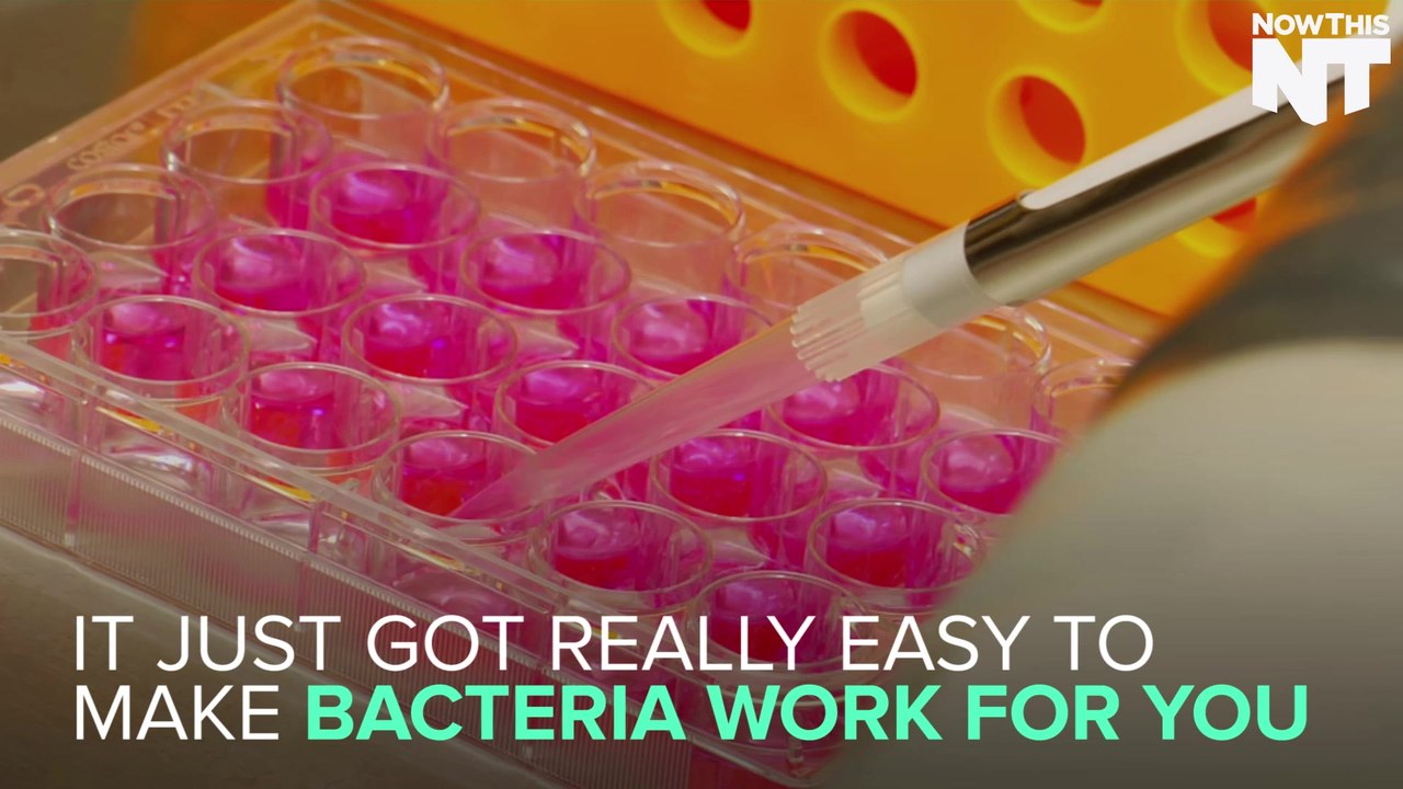 You Can Now Program DNA To Fight Illness