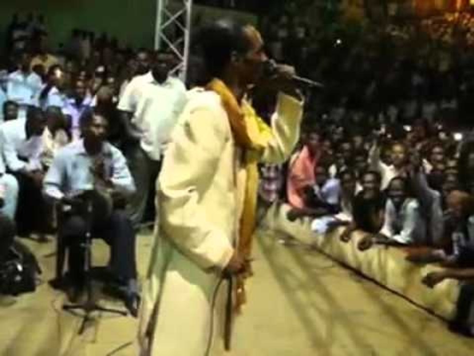 محمود عبد العزيز / mahmoud abdel aziz