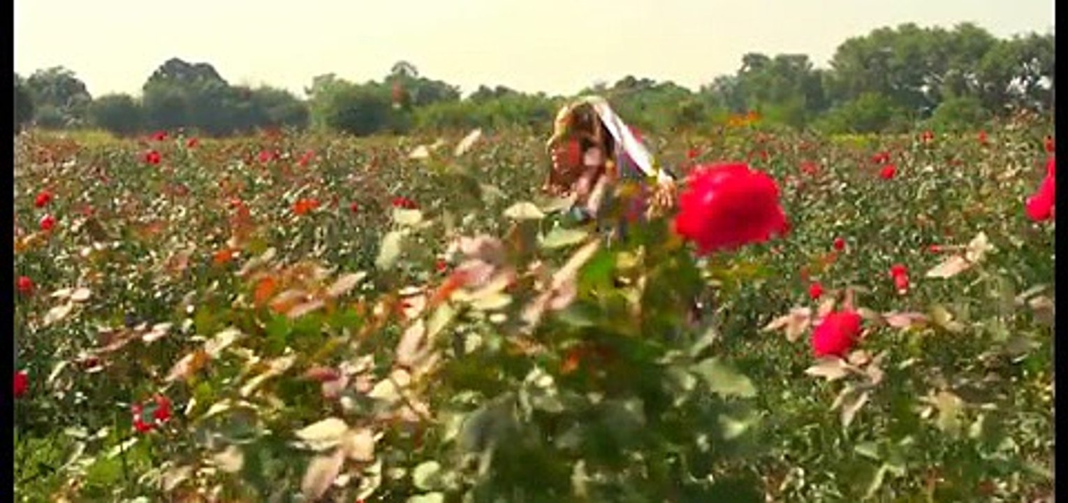 Humaira Channa - Mahi Ve