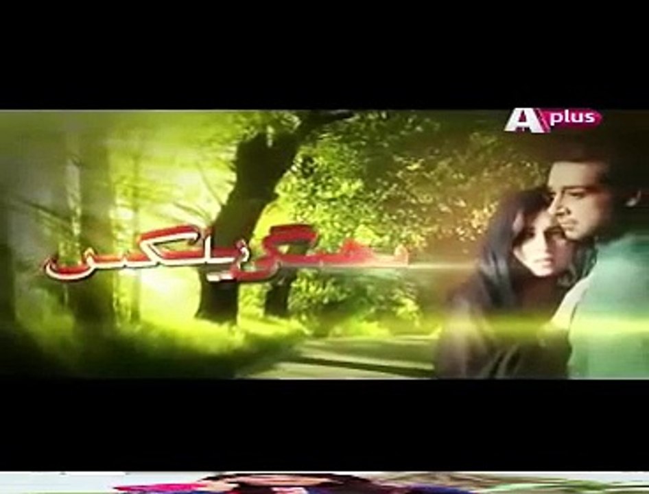 Bheegi Palkein Episode 10 in HD Full --15 January 2016
