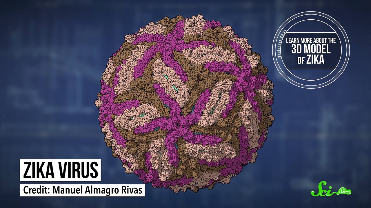 Another Zika Update & Quantum Physics Gamers