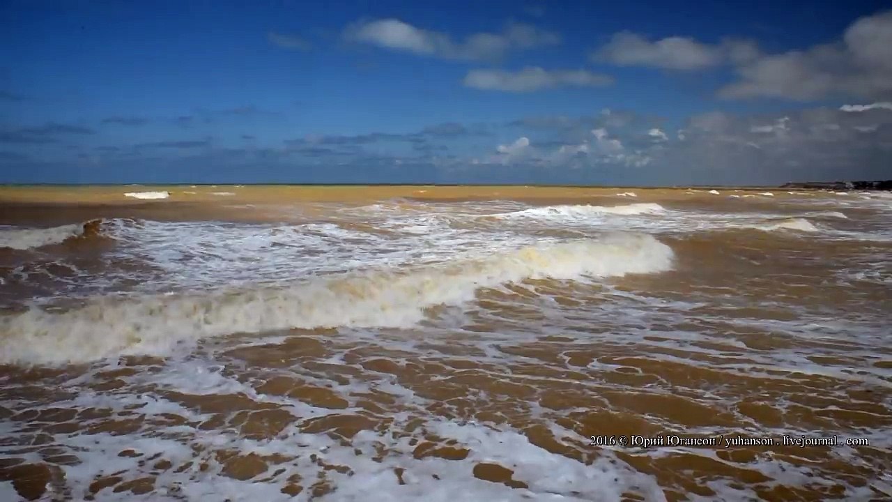 В Крыму Черное море пожелтело