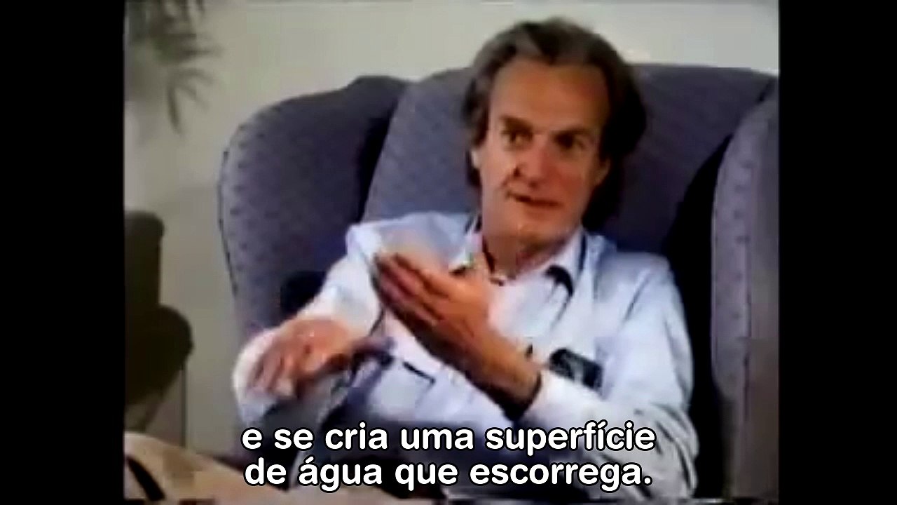 Richard Feynman sobre ímãs