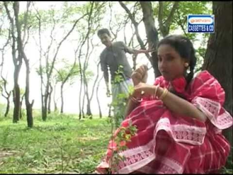 Amar Mayna Gelo Uriya