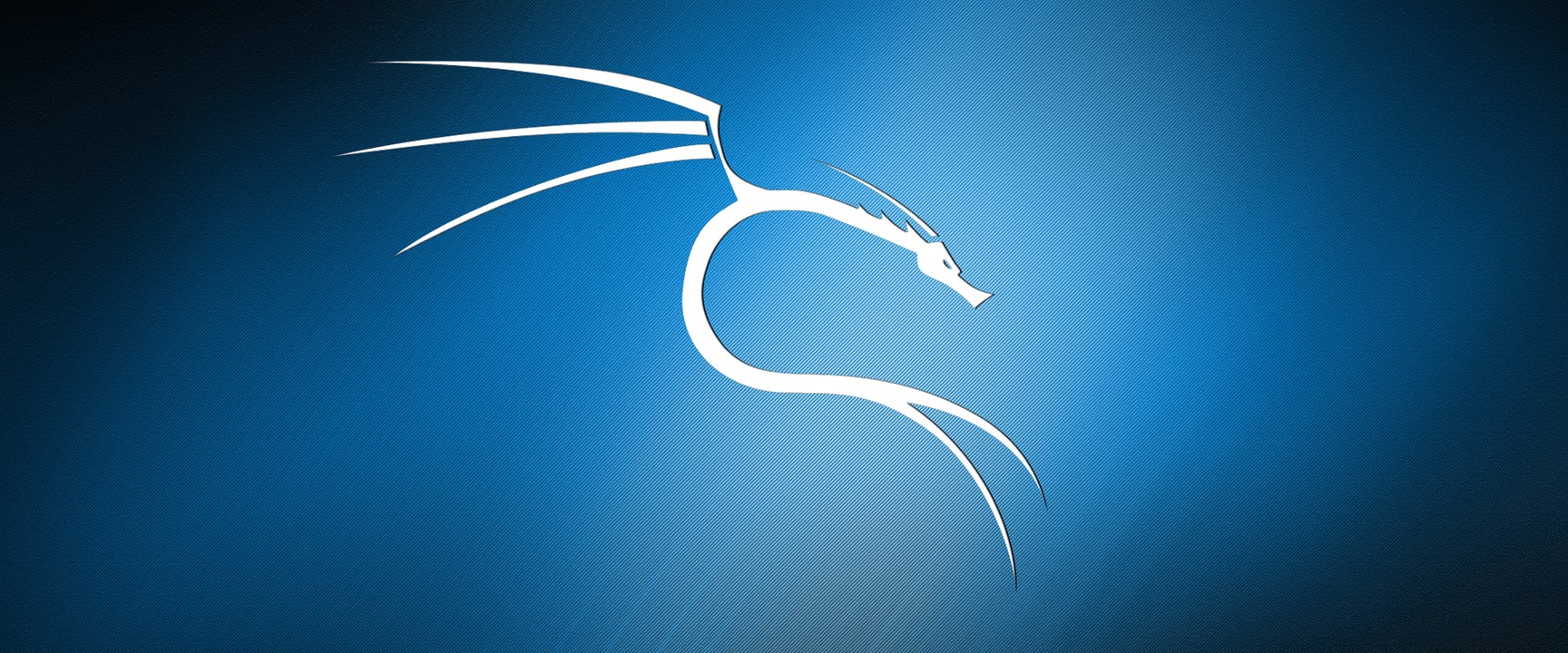 Kali Linux: Penetration Testing Tool