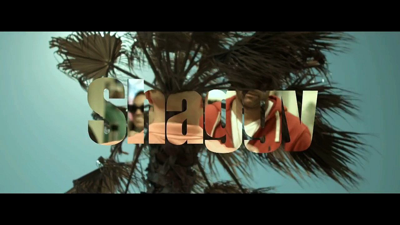 Shaggy Mohombi Faydee Costi - Habibi - Official Video