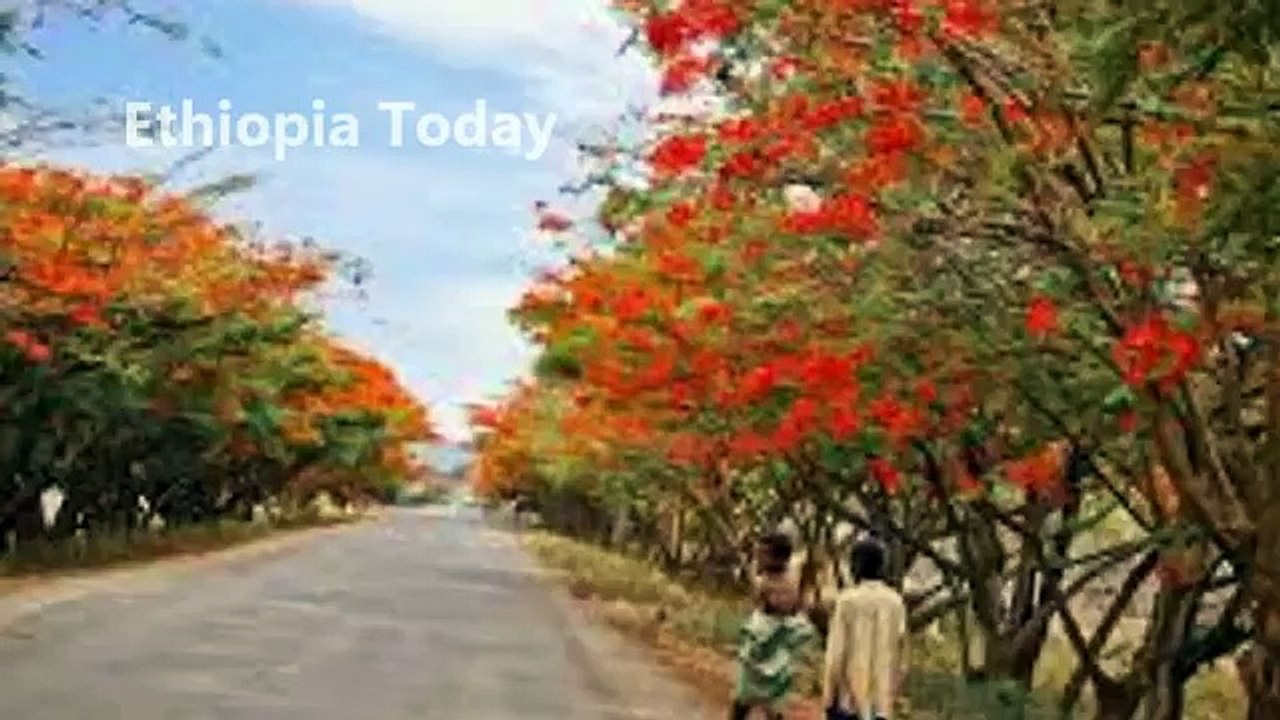 Ethiopia Today: Amharic music: Efrem Tamiru: Kadmasu Bashager: ካድማሱ ባሻገር