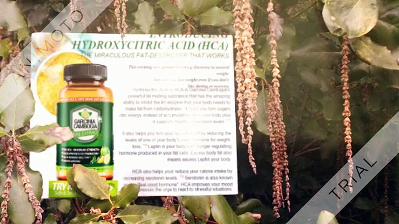 Garcinia Cambogia for Weight Loss 🌿