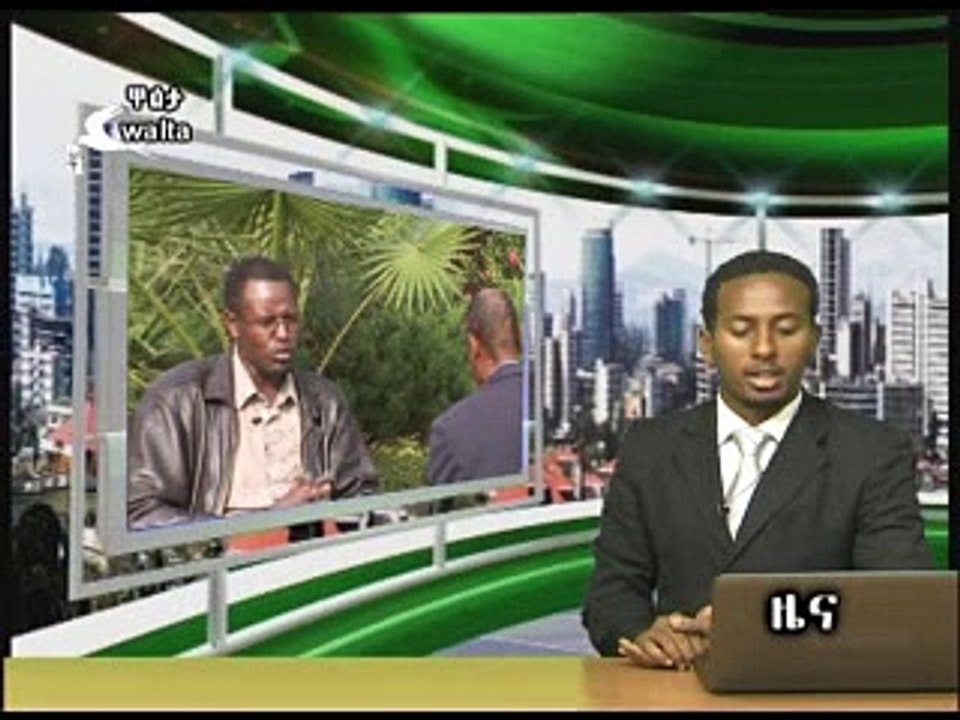 Walta TV News Jun 29,2013