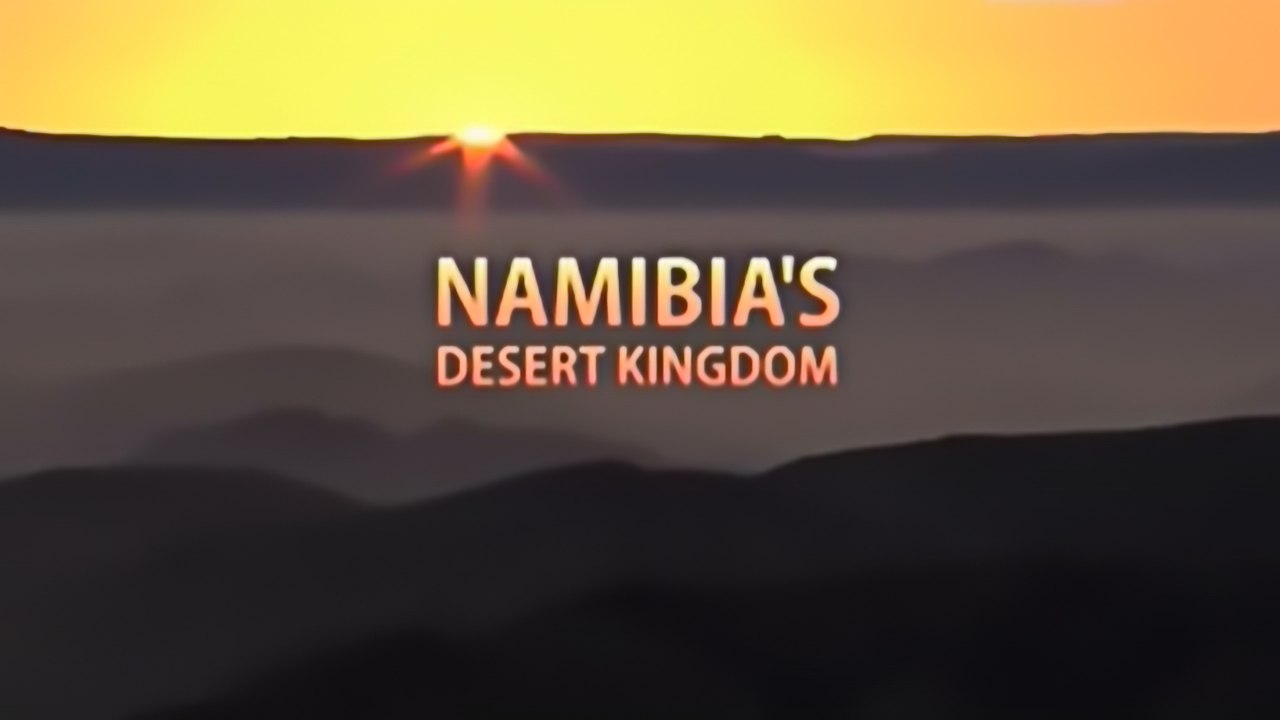 Королевство в пустыне Намиб (2013)
