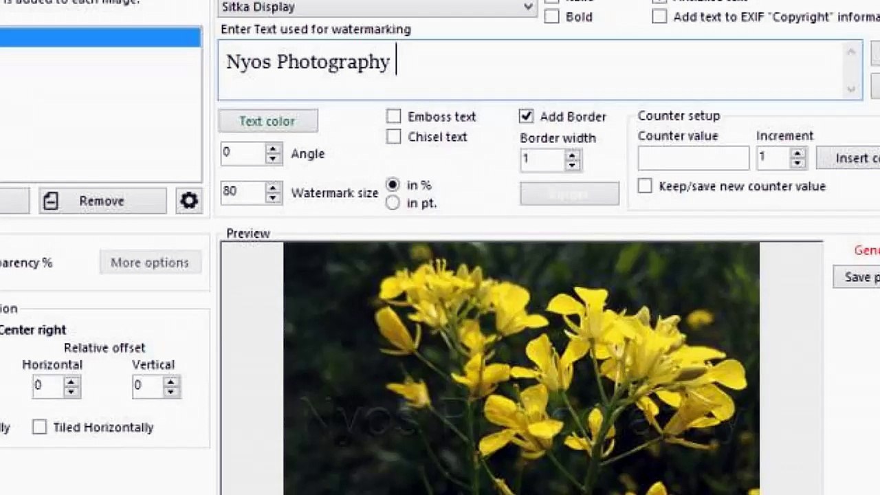 TSR Watermark Image Pro 3.5.6.1 (FULL + Keygen)