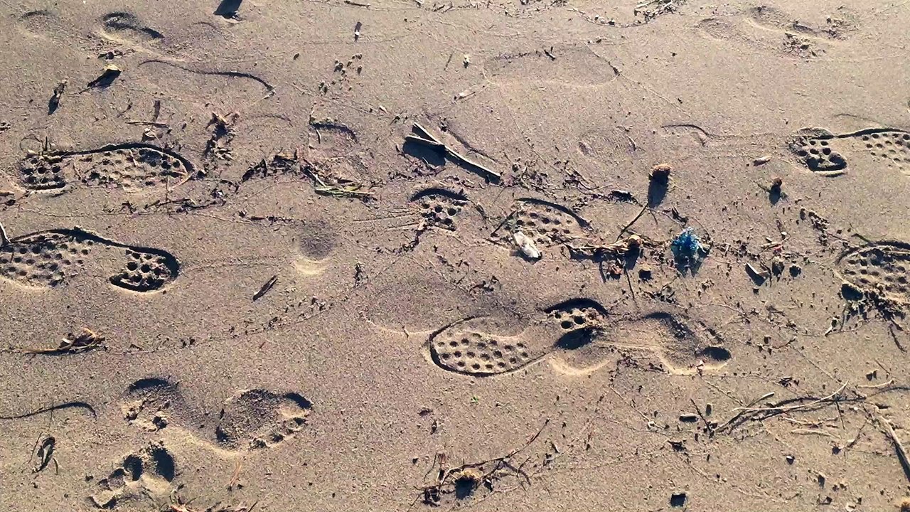 Albanian Riviera: Hidden Coastal Gem 🌊