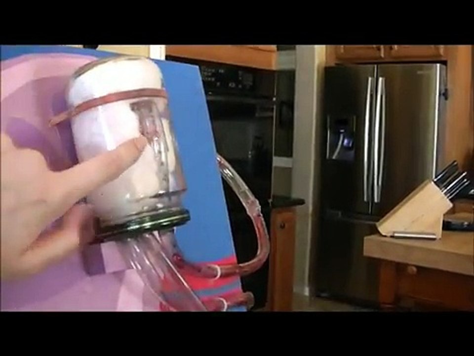 Working Model of the Kidney