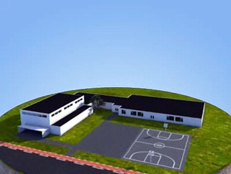 23 Sedum Dak - Shop New Shirts & Clothes 👕