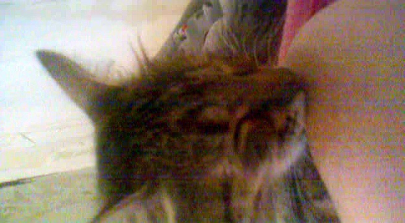 Эффа - GANGNAM STYLE - YouTube