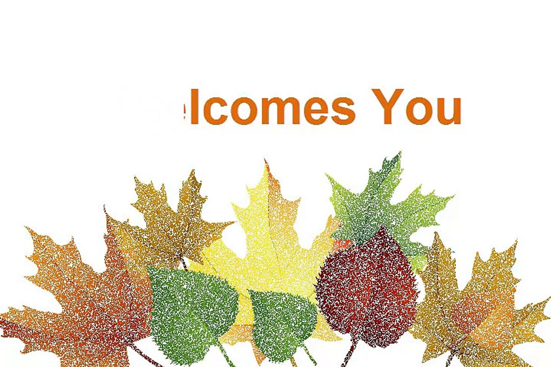 Discover Unique Antique & Custom Persian Rugs with Sharafi & Co. 🧳