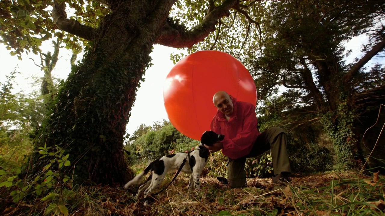 Os Segredos da Física Quântica - Que Haja Vida - Episódio 2.