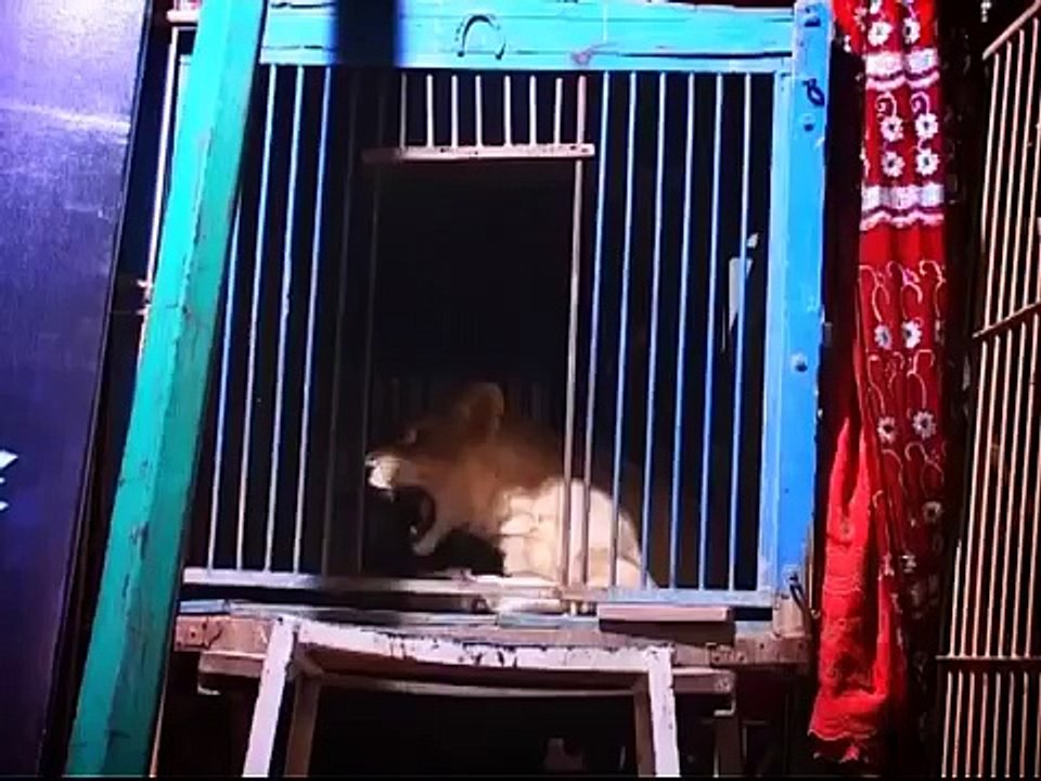 History Of Living Of the edge and waqar zaka reality