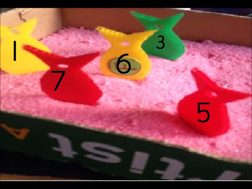 Teacher Guide 16 for Mathematics