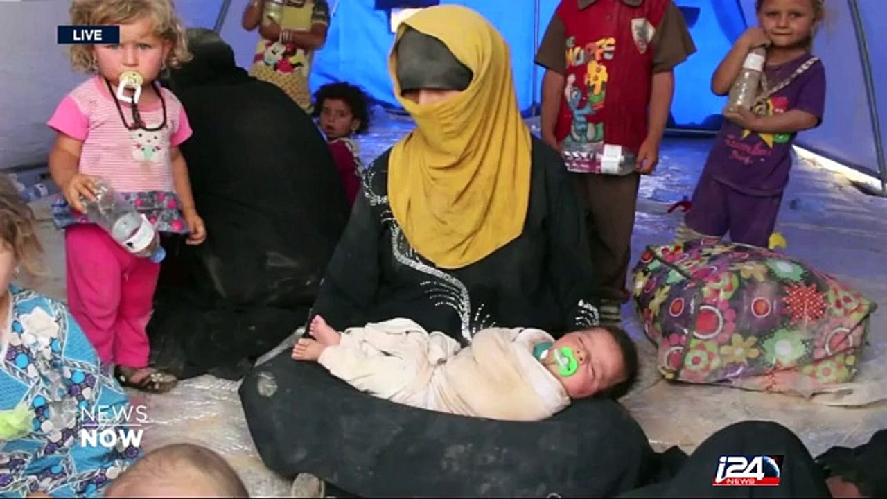 War in Iraq | Fallujah