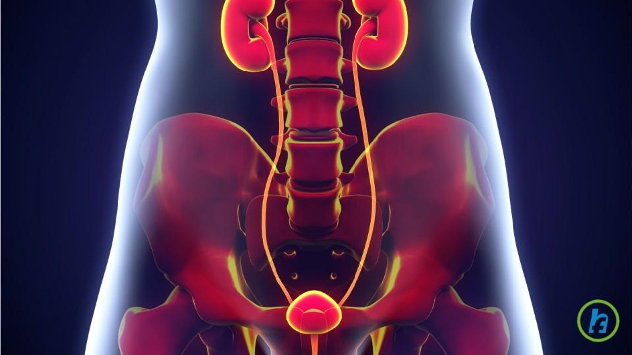 What is Bladder cancer?