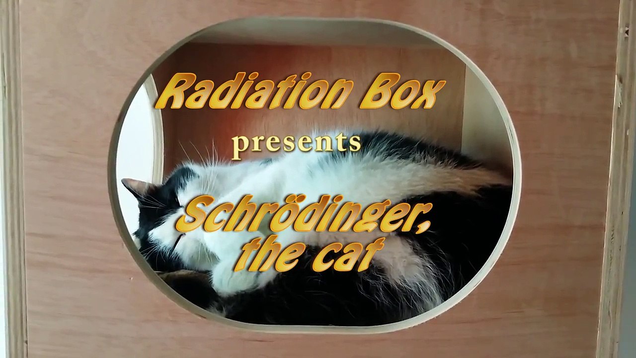 Radiation Box presents SCHRÖDINGER, the cat