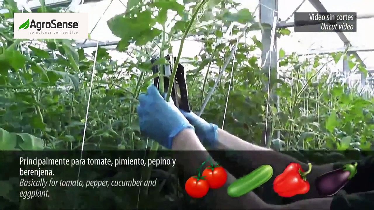 TomSystem en México ¿cómo funciona?