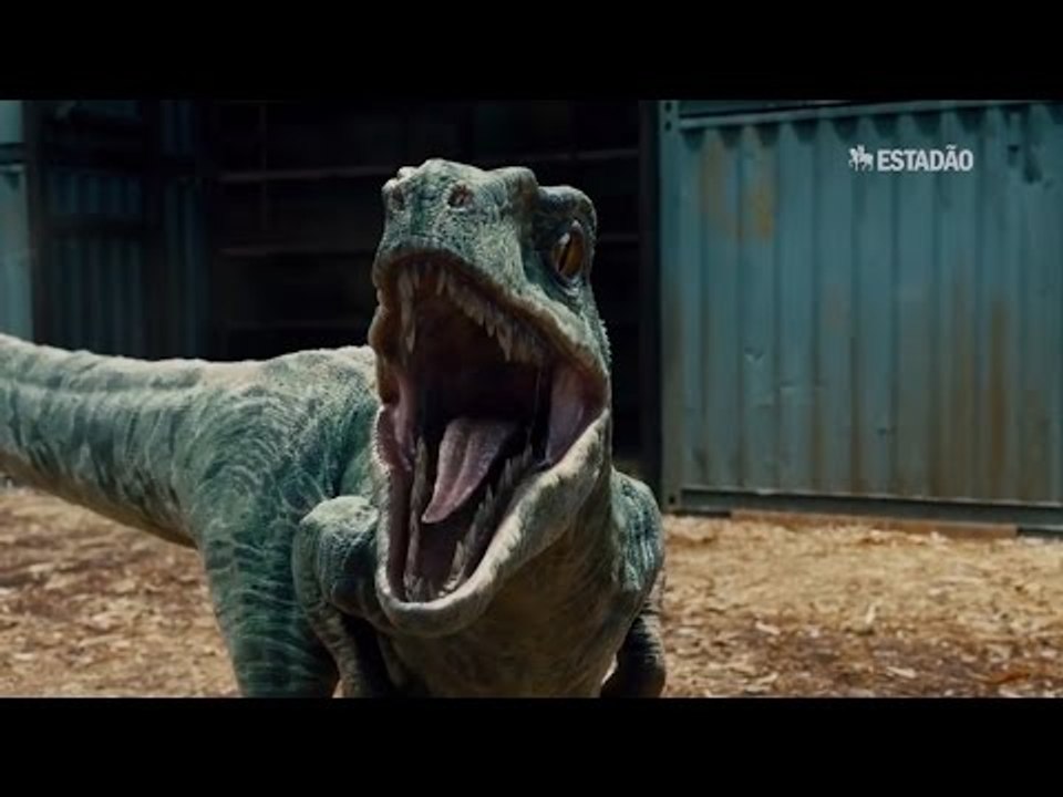 Dicas para o ENEM: biologia