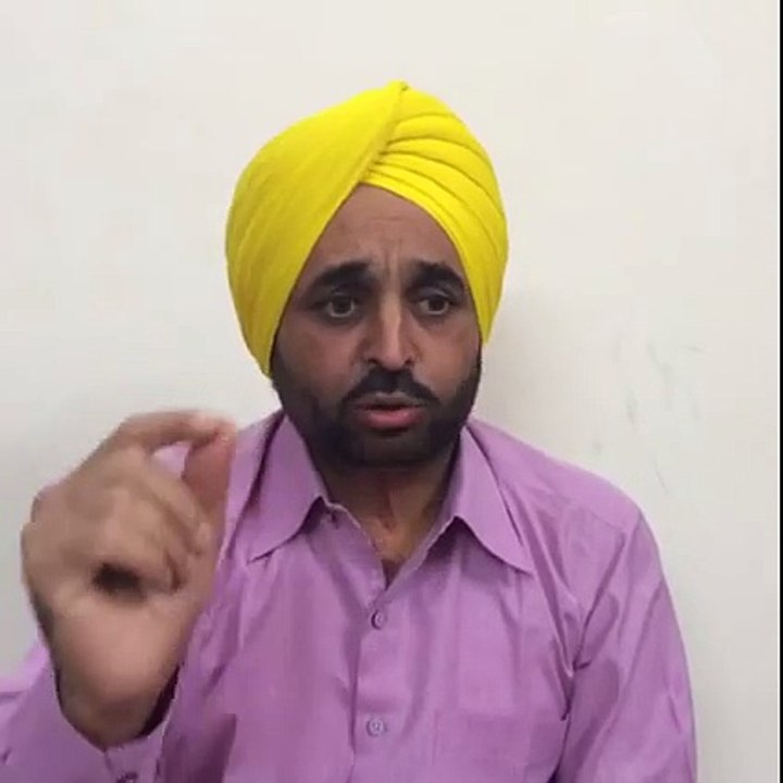Bhagwant Mann's Perspective on Parliament