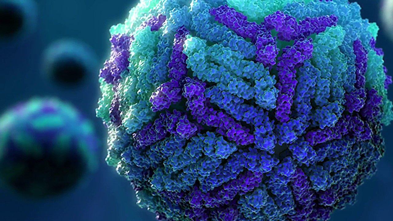 IBM Intensifies Fight Against Zika | IBM