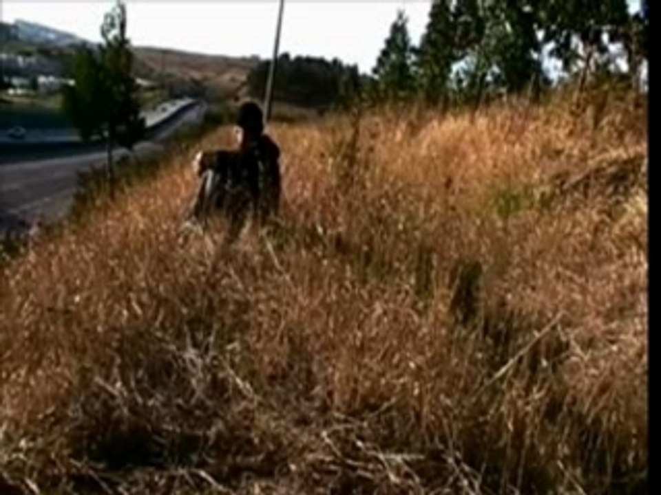 Intro to 99: My Latest Work 🎬