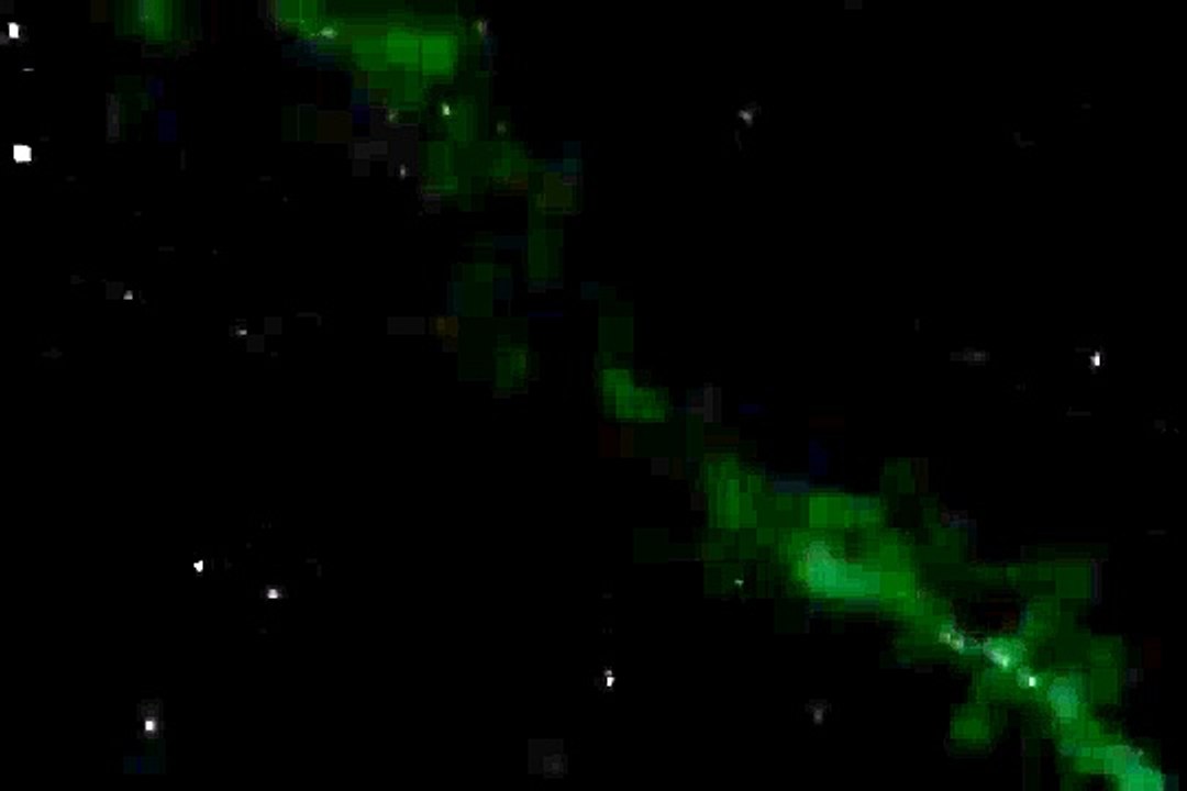 Warner Music Vision 1991-Early 2000s 1991-