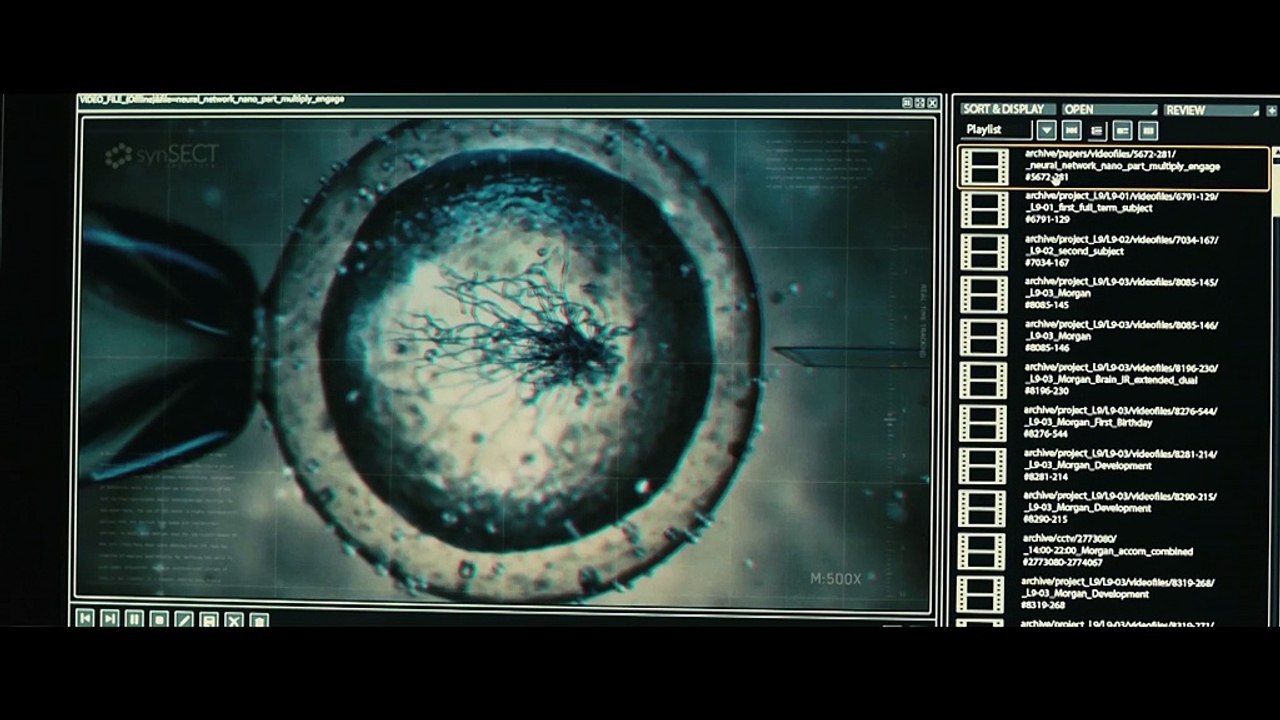 Morgan - Clip - Morgan Progression
