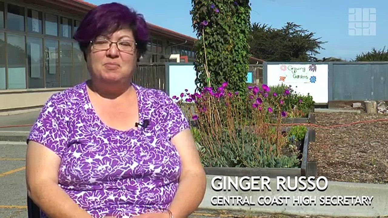 Greg Rolen | Video, Images, Text and Info