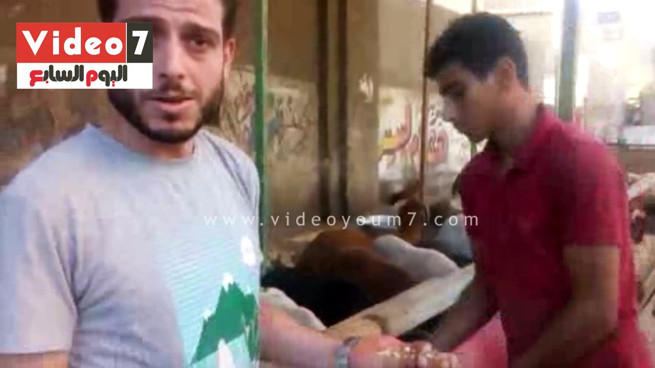 7 مواصفات مهمة قبل شراء خروف العيد