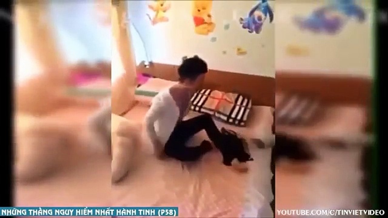 Bets Funny 2016 Funny 2016