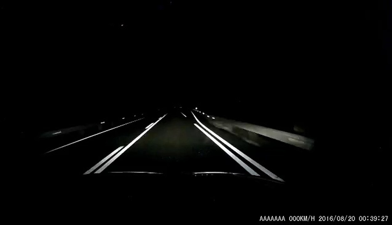 Dros accident à cause d'un sanglier