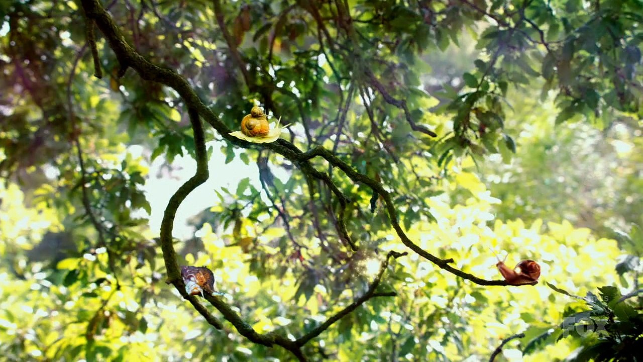 Exploring Space 🌌