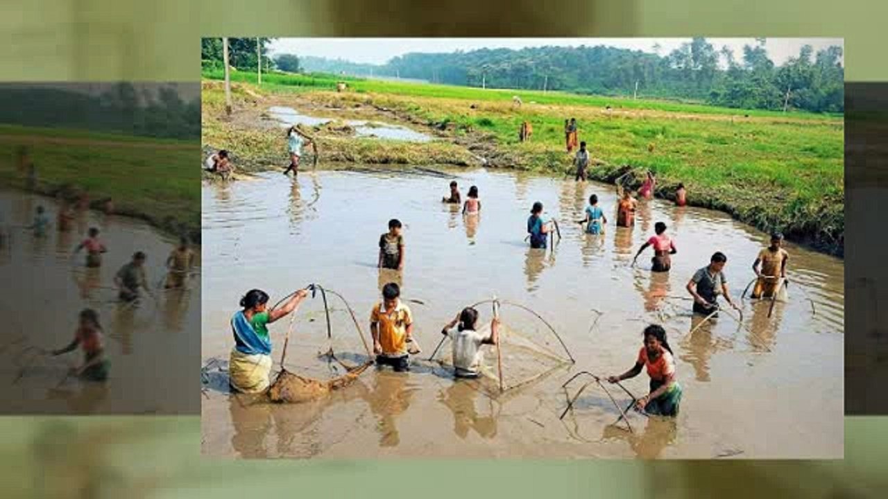 Fisheries Department of Chhattisgarh