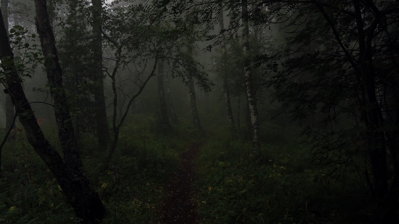 Ходячие мертвецы 7 сезон 2 серия смотреть онлайн в русском переводе фокс