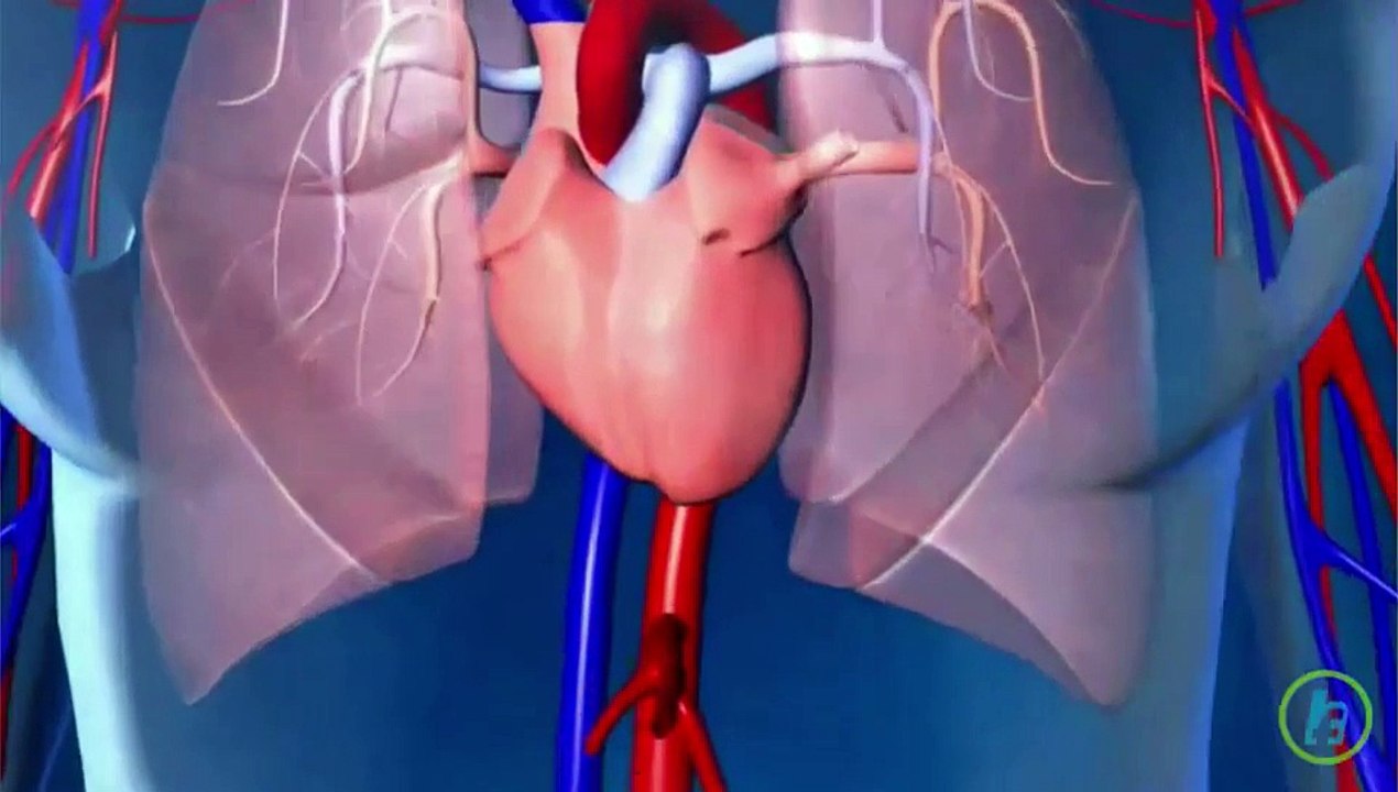 Understanding Valvular Heart Disease 🫀
