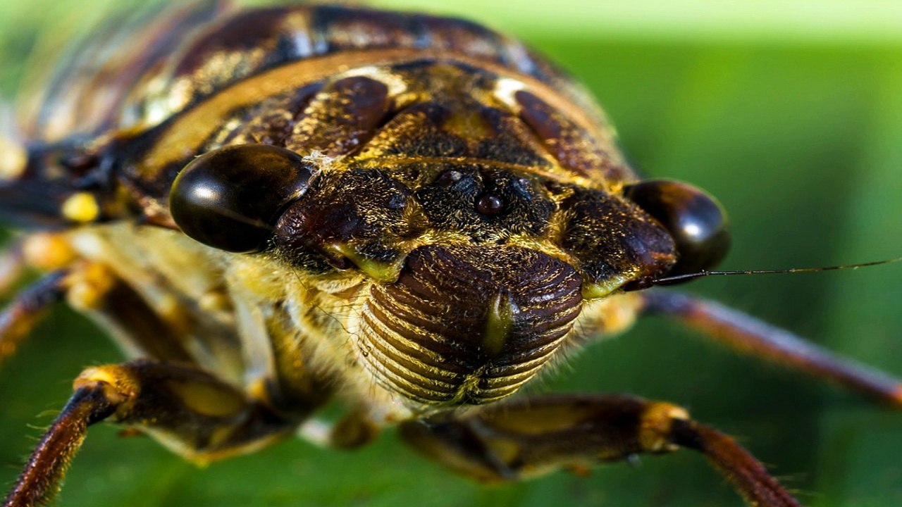 10 Camping Tips For Beginners That Must Know