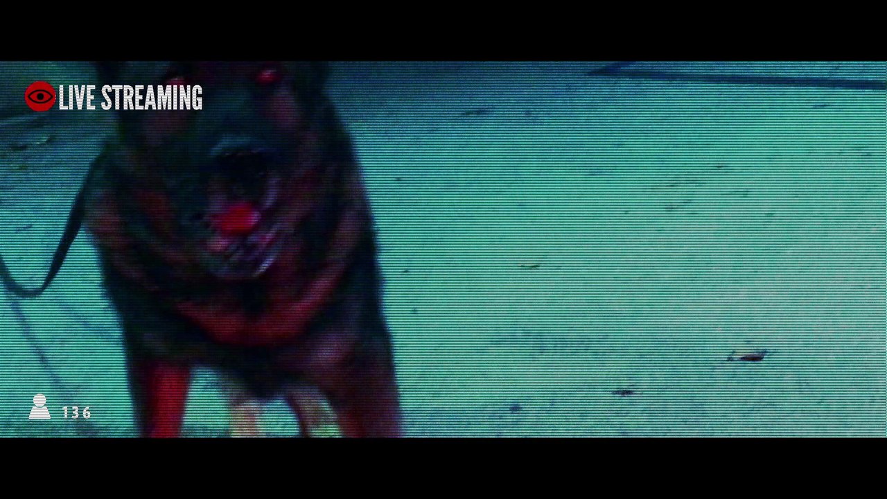 Framed: 24-Hour Live Broadcast Mystery