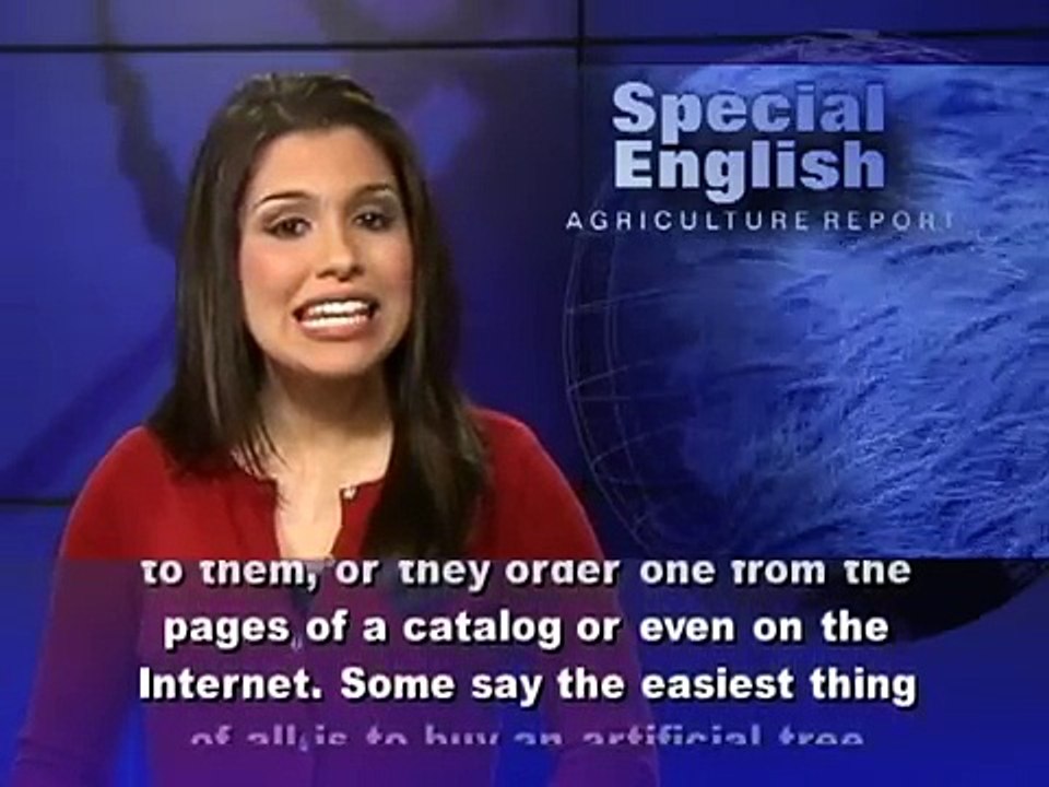 The Business of Christmas Trees