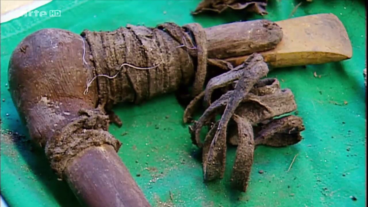 Ötzi, La Renaissance De L'homme Des Glaces