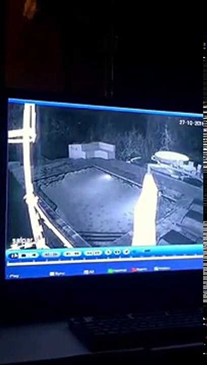 Crocodile stalks and attacks humans in private residence swimming pool - Zimbabwe