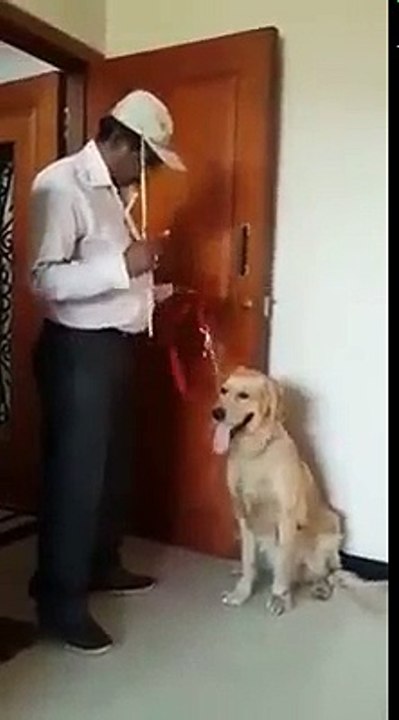 Excelling in Math Skills 📚