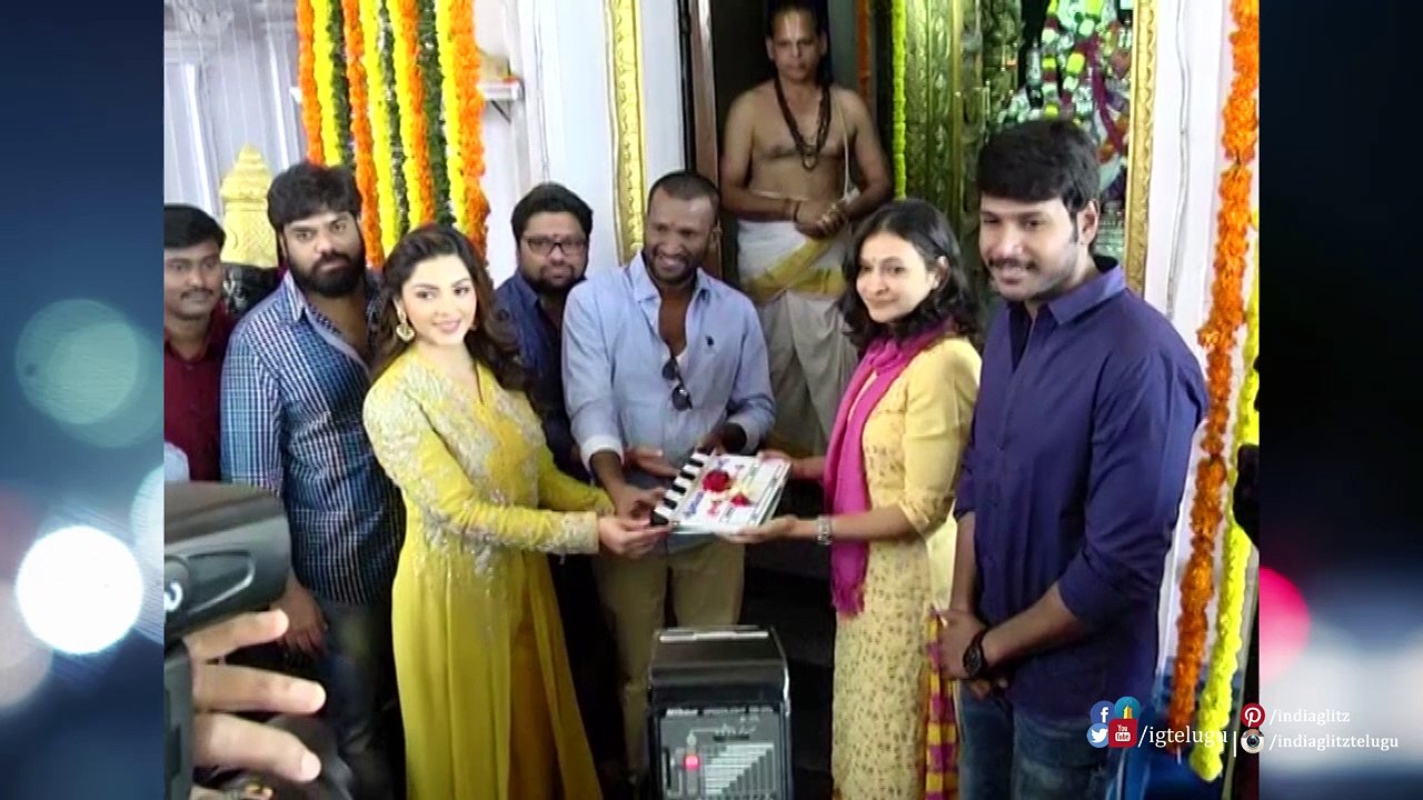 Sundeep Kishan - Suseenthiran - Mehreen Pirzada Movie Launch || Thaman